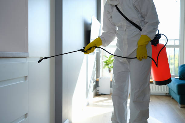 Best Professional Mold Removal  in East Griffin, GA