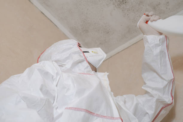 Best Mold Removal Company Near Me  in East Griffin, GA