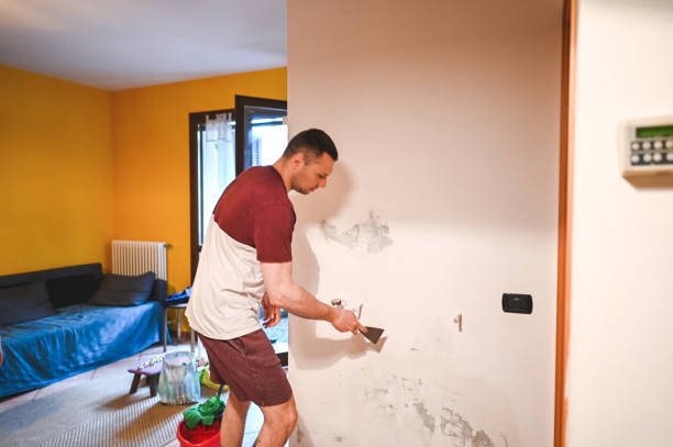 Best Fast Mold Removal  in East Griffin, GA
