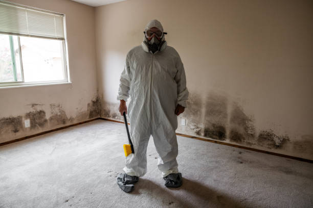 Best Commercial Mold Removal  in East Griffin, GA