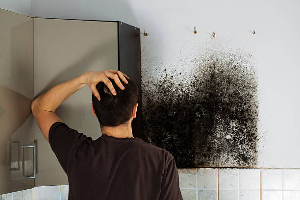 Attic Mold Removal in East Griffin, GA